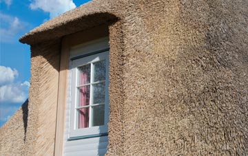 Pledwick thatch roof disadvantages